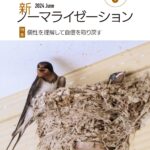 新ノーマライゼーション2024年6月号表紙