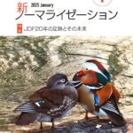 新ノーマライゼーション2025年1月号表紙