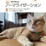 新ノーマライゼーション2025年2月号表紙