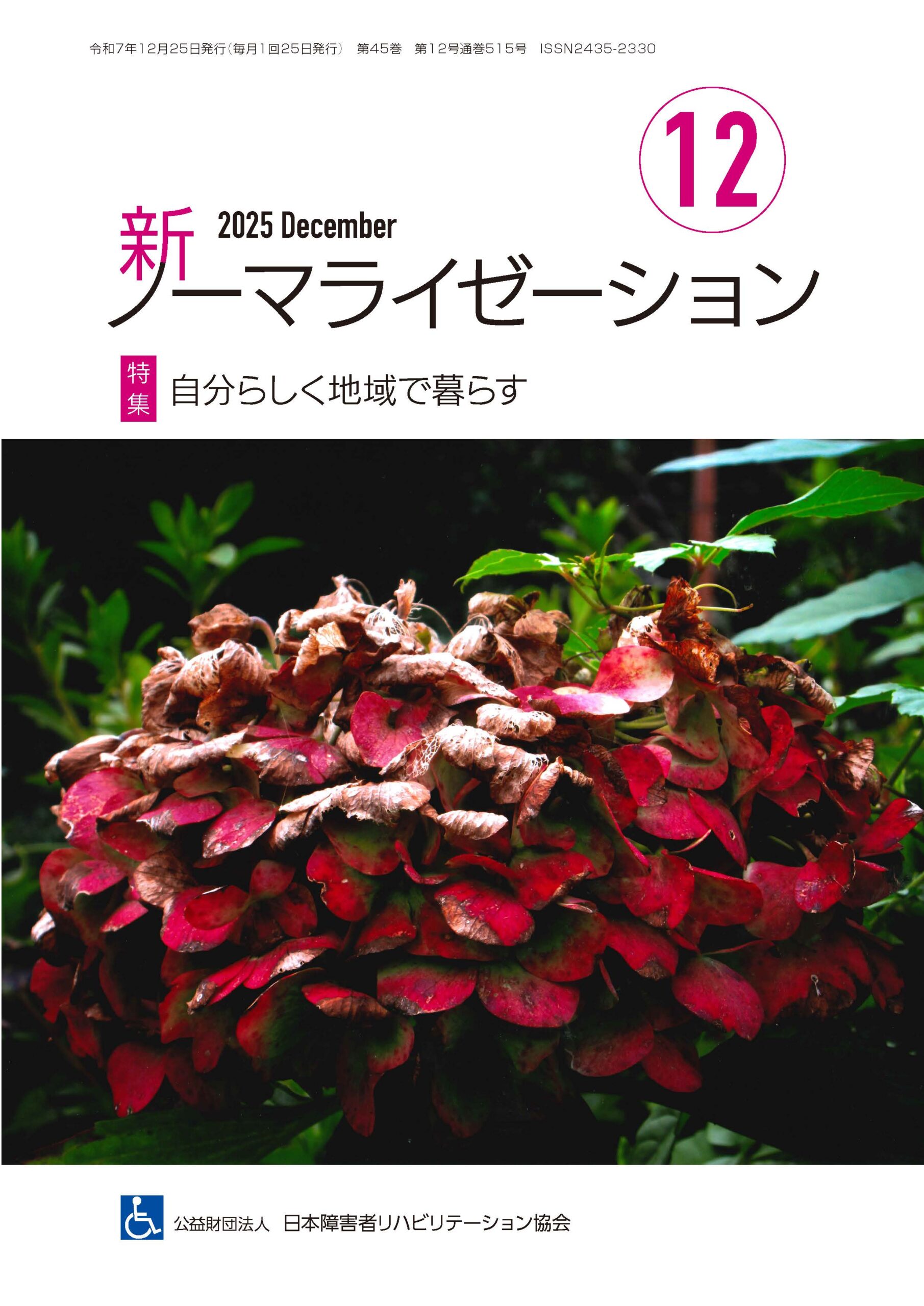 新ノーマライゼーション2025年12月号表紙