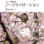 新ノーマライゼーション2026年4月号表紙