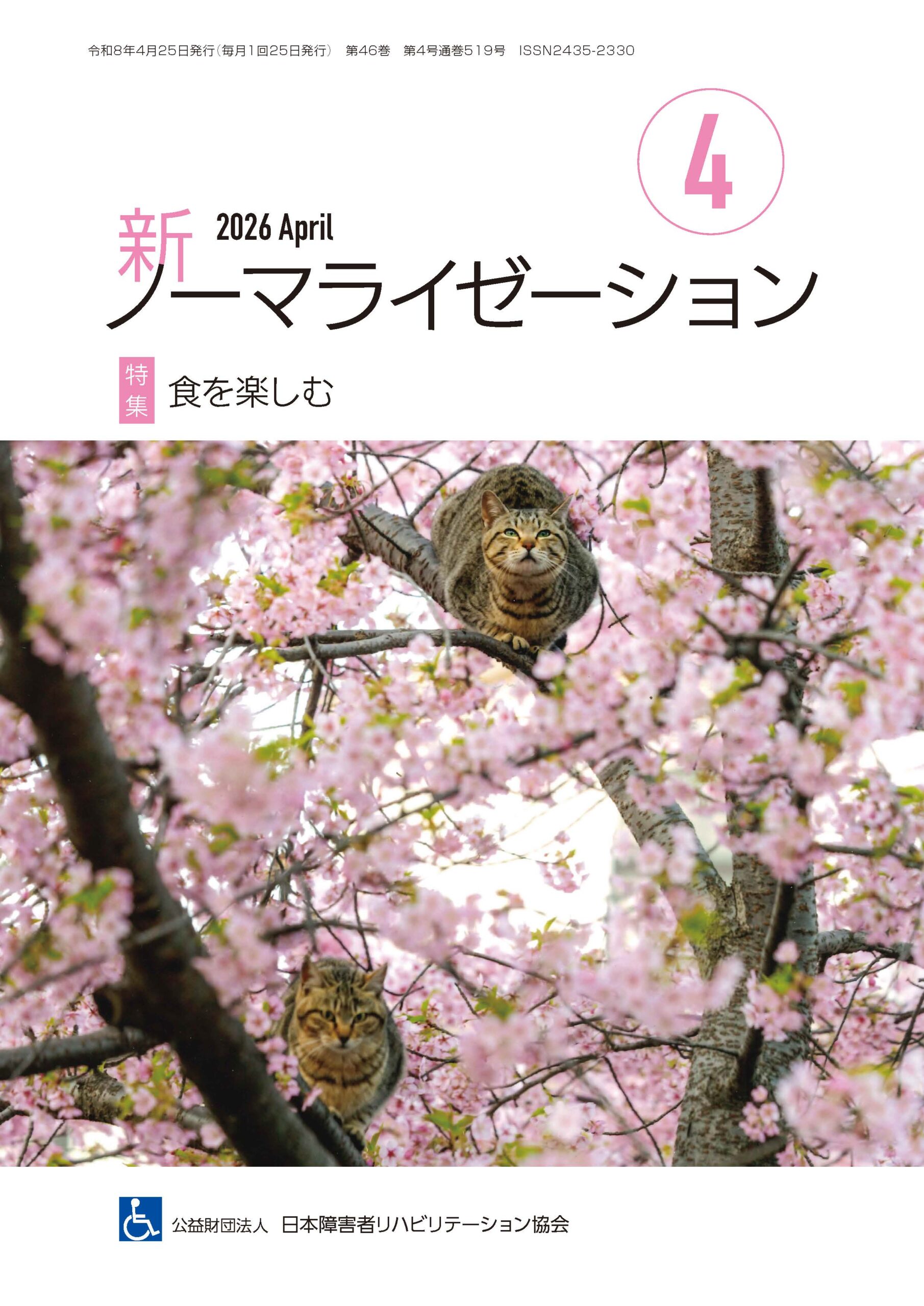 新ノーマライゼーション2026年4月号表紙